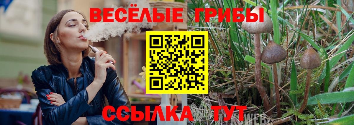 Галлюциногенные грибы GOLDEN TEACHER  Вход с VPN  Рязань 