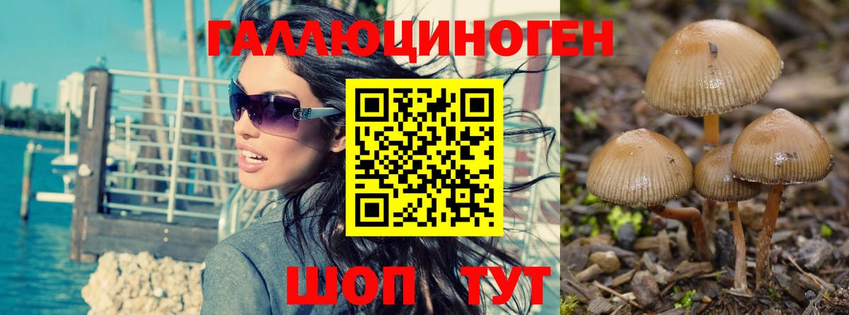 Псилоцибиновые грибы Magic Shrooms Рязань